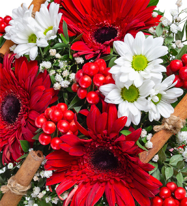 Vazoda Yılbaşı Kokinası Gerbera Papatya