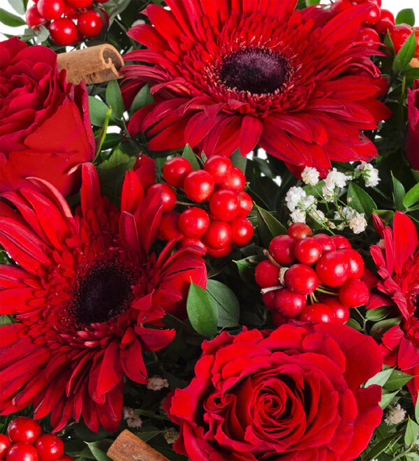 Vazoda Yılbaşı Kokinası Kırmızı Gül Gerbera