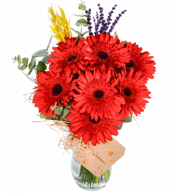 Kırmızı Gerbera Vazosu