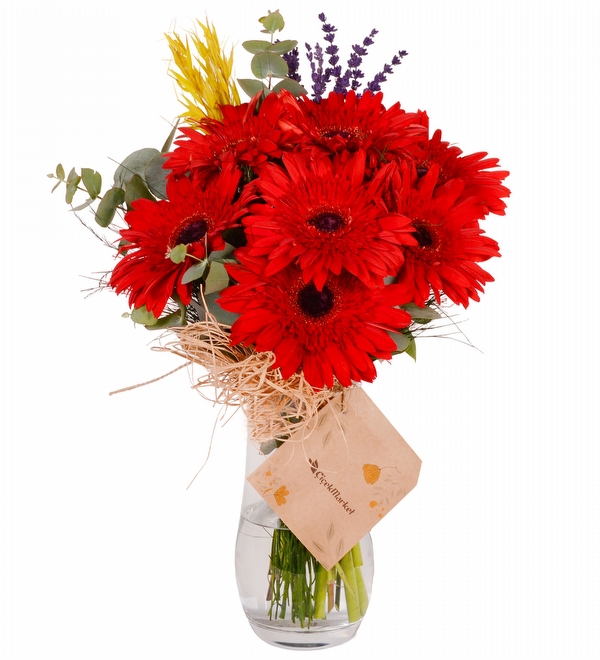 Kırmızı Gerbera Vazosu