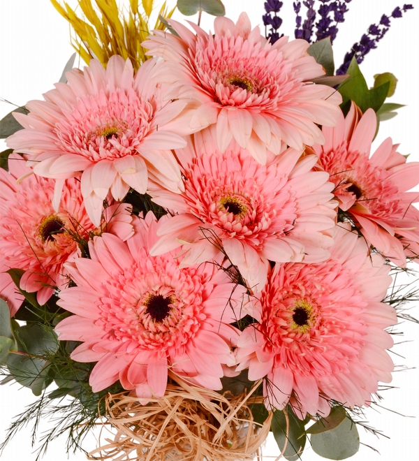 Pembe Gerbera Vazosu