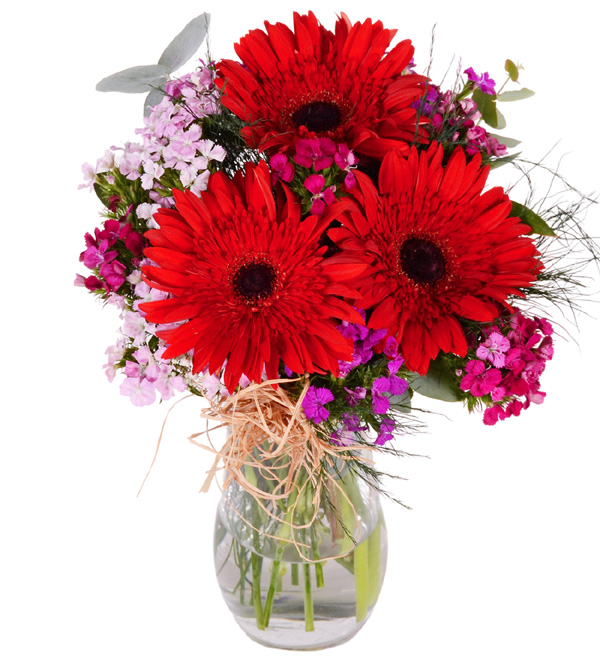 Vazoda Hüsnüyusuf Kırmızı Gerbera