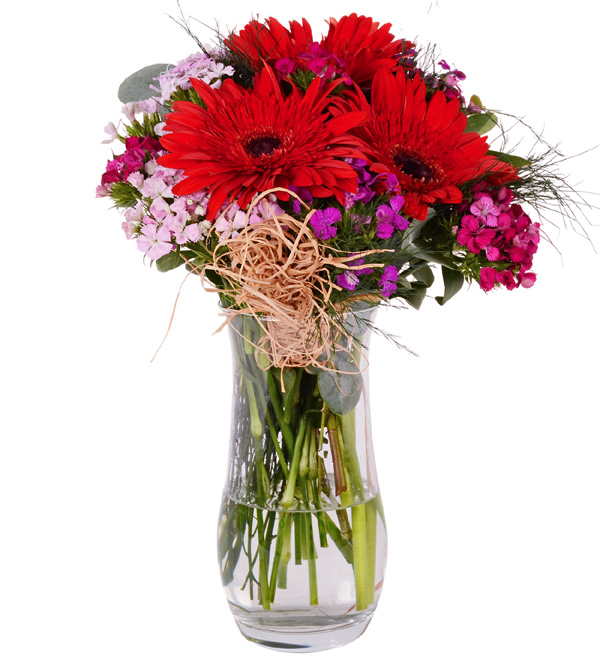 Vazoda Hüsnüyusuf Kırmızı Gerbera