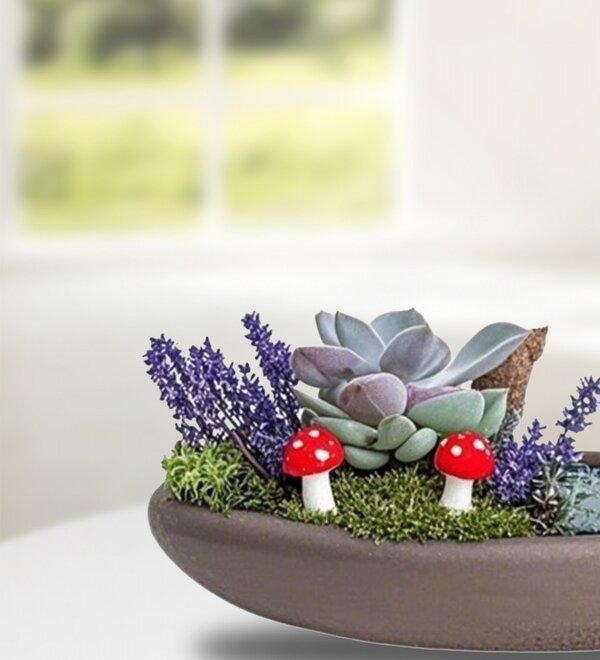 Kayık Saksıda Echeveria ve Lavanta Teraryum
