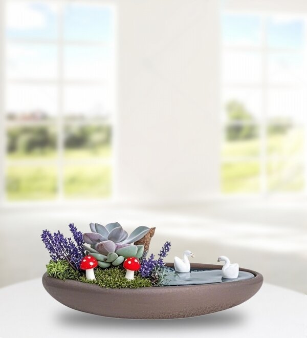 Kayık Saksıda Echeveria ve Lavanta Teraryum