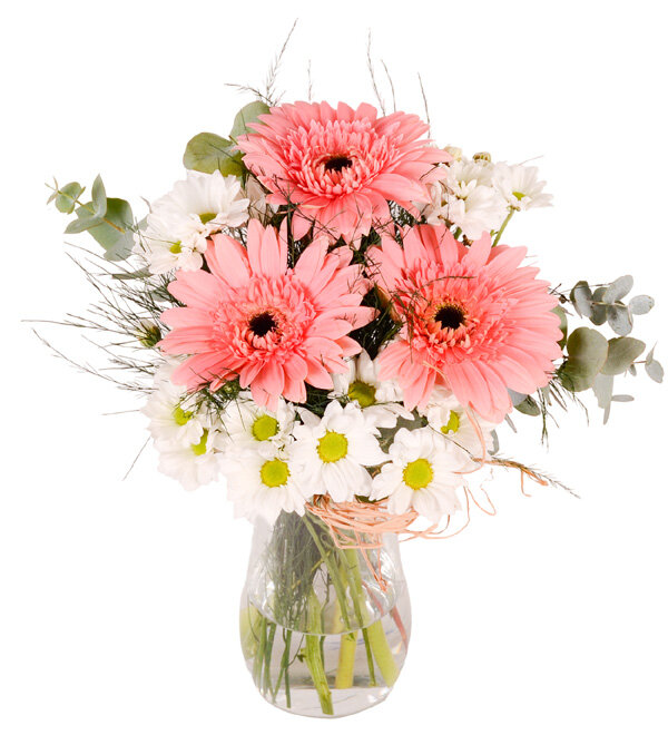 Cam Güzeli Gerbera ve Papatya
