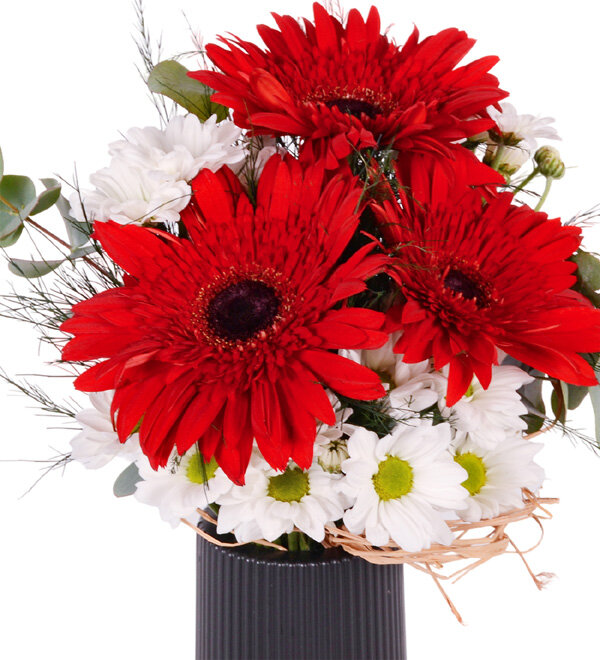 Desenli Siyah Vazoda Papatya ve Gerbera