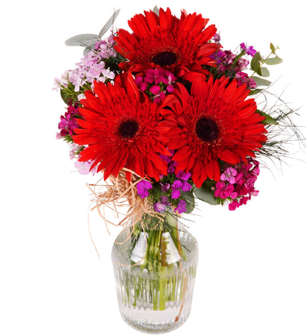 Kırmızı Gerbera ve Hüsnüyusuf Aranjmanı