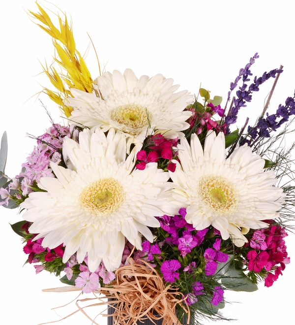 Siyah Vazoda Hüsnüyusuf ve Gerbera