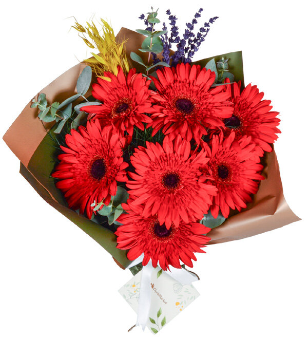 Red Garden Gerbera Buketi