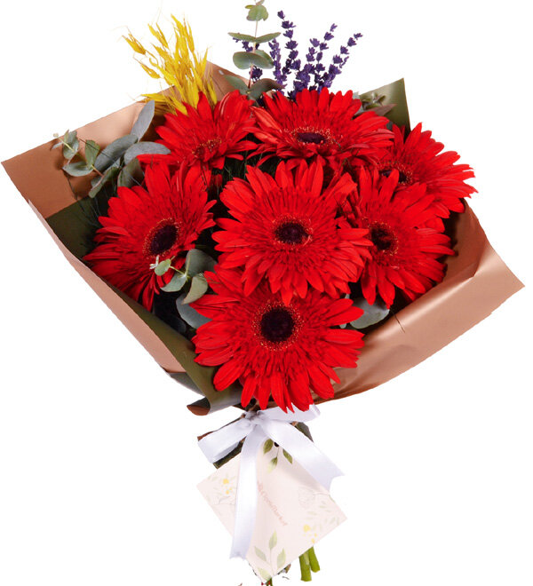 Red Garden Gerbera Buketi