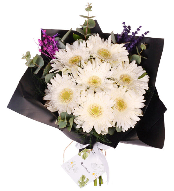 Siyah Bukette Beyaz Gerbera Buketi