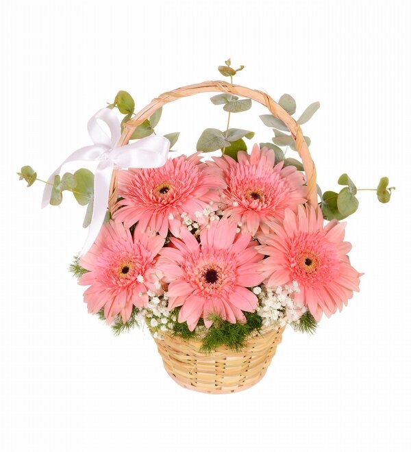 Pembe Gerbera Sepeti
