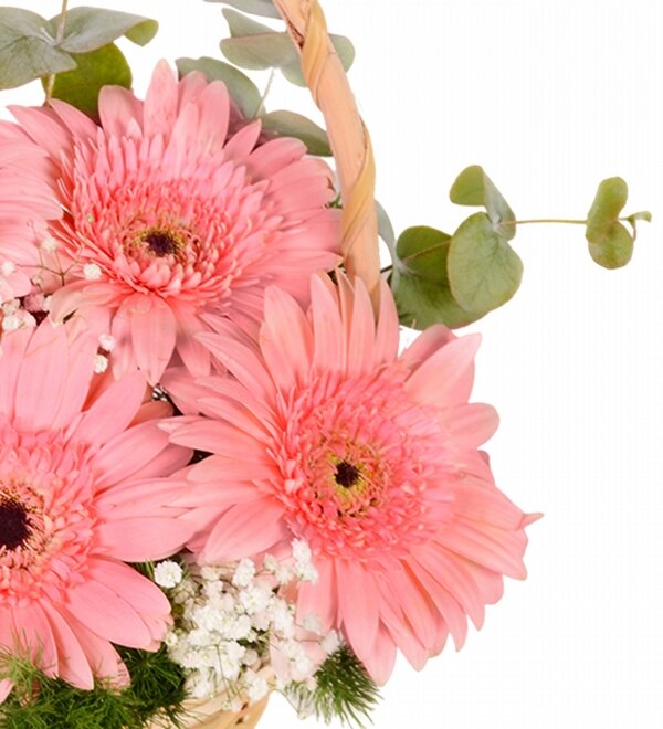 Pembe Gerbera Sepeti