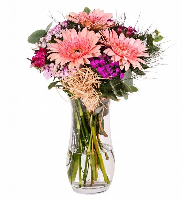 Vazoda Pembe Gerbera ve Hüsnüyusuf