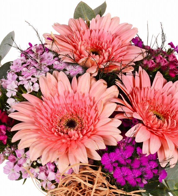 Vazoda Pembe Gerbera ve Hüsnüyusuf