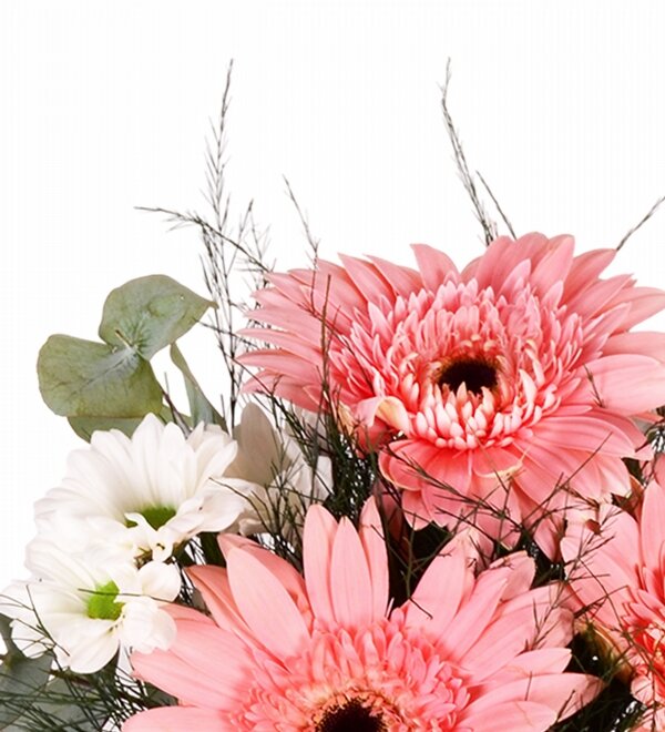 Pembe Gerbera ve Papatya Vazosu