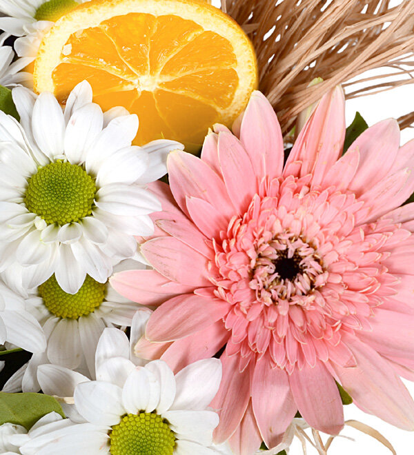 Pembe Gerbera Beyaz Papatya Aranjmanı