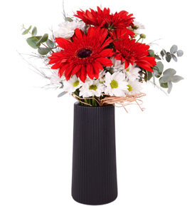Desenli Siyah Vazoda Papatya ve Gerbera