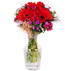 Kırmızı Gerbera ve Hüsnüyusuf Aranjmanı