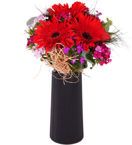Siyah Vazoda Gerbera ve Hüsnüyusuflar