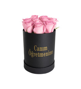 Canım Öğretmenime Pembe Güller