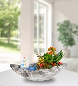 Kayık Beton Saksıda Kalanşo Teraryum