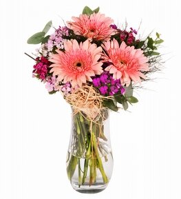 Vazoda Pembe Gerbera ve Hüsnüyusuf