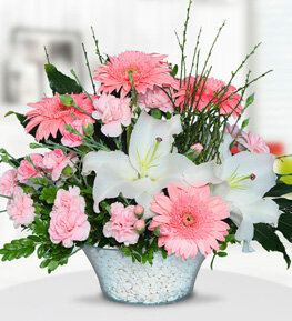 Beyaz Lilyum Pembe Gerbera ve Karanfil