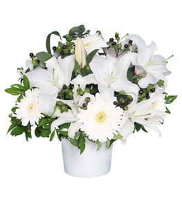 Saksıda Beyaz Lilyum ve Gerbera