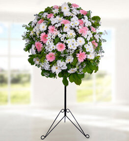 Gerbera ve Papatya Ferforje