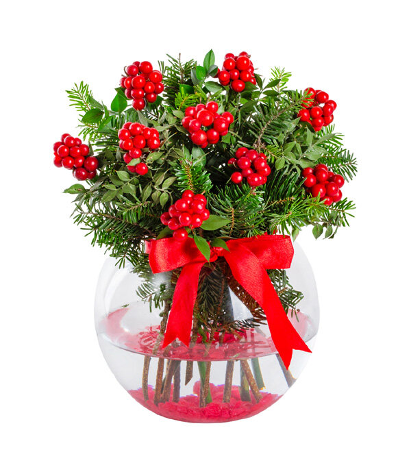 Fanus Vazoda Kokina Y�lba�� �i�e�i