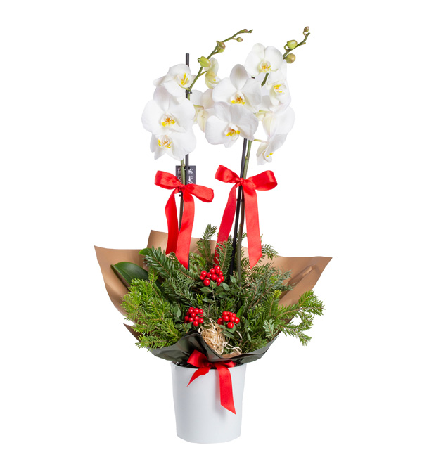 Yılbaşı Kokina ve Kırmızı Gül Buketi