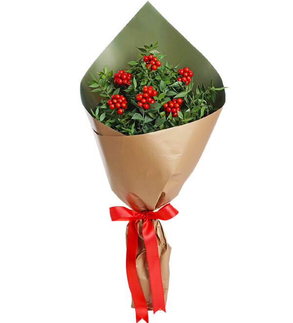 Kokinal� Y�lba�� Buketi