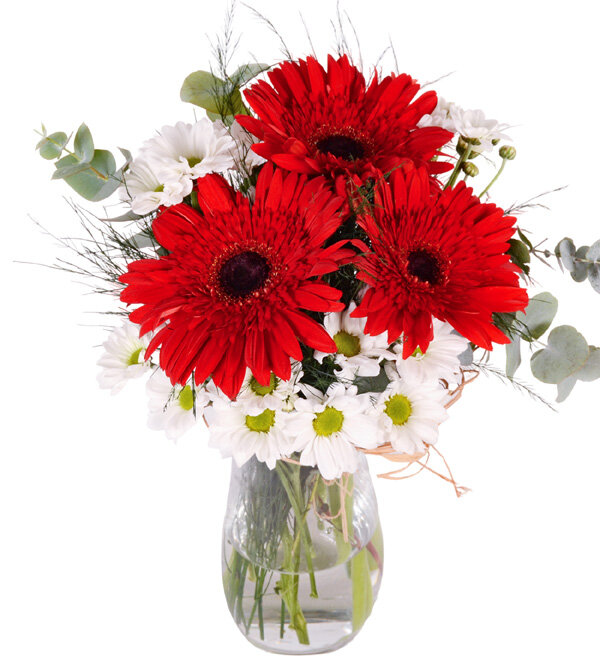 K�rm�z� Gerbera ve Papatya Vazosu