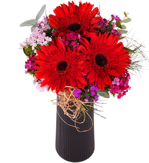 Siyah Vazoda Gerbera ve H�sn�yusuflar