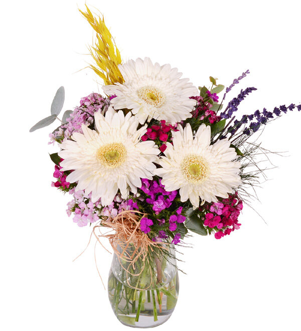 Beyaz Gerbera H�sn�yusuf Vazosu