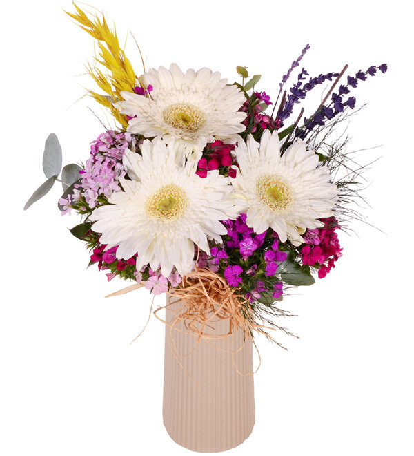 Bej Vazoda Gerbera ve H�sn�yusuflar