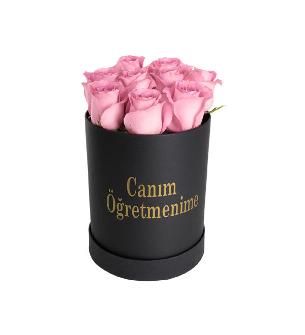 Can�m ��retmenime Pembe G�ller