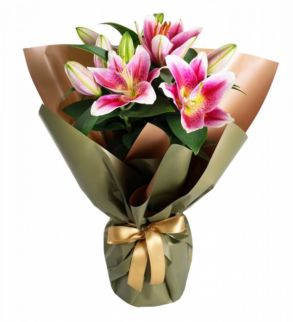 Ye�il Ambalajl� Saks�da Pembe Lilyum