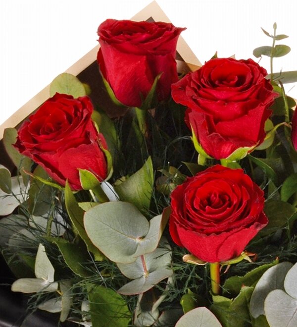 Siyah Ka��tta 7 li K�rm�z� G�l Demeti