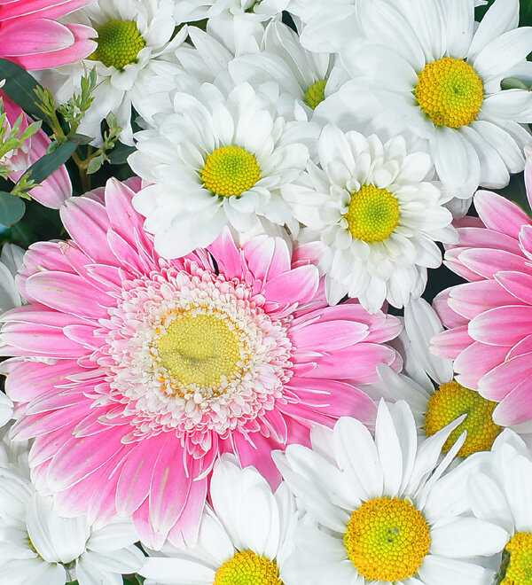 Papatya ve Gerbera Buketi