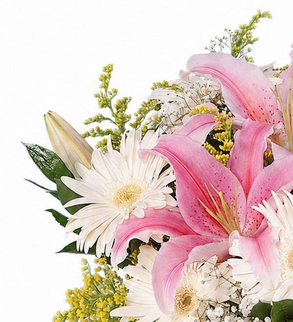 Pembe Lilyum Gerbera