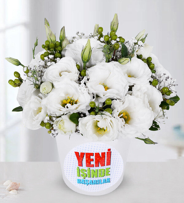 Yeni ��inde Ba�ar�lar Temal� Lisyantuslar