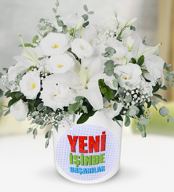 Yeni �� Temal� Lilyum Lisyantuslar