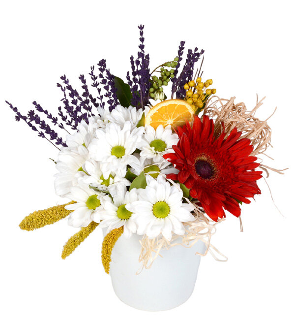 K�rm�z� Gerbera ve Papatyalar