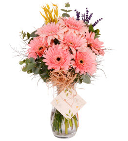 Pembe Gerbera Vazosu