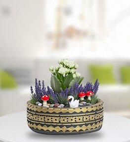 Antik Desenli Saks�da Beyaz Kalan�o Teraryum