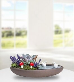 Kay�k Saks�da Echeveria ve Lavanta Teraryum