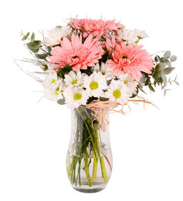 Cam G�zeli Gerbera ve Papatya